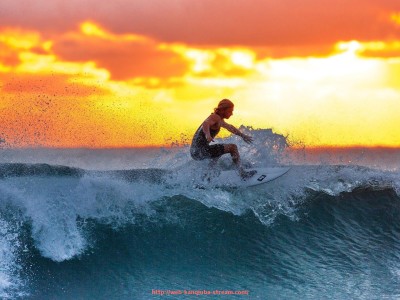 看球吧直播-女排欧冠决赛直播视频资源及比赛重点
